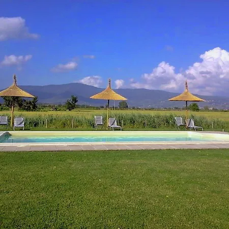 Peaceful In With Swimming Pool 哥尔顿